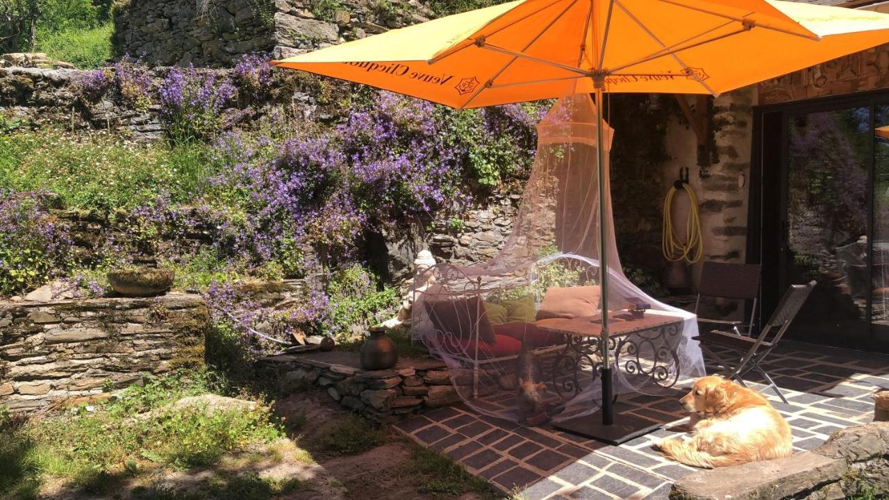 Gîte Terra Bosca Cambounes Exterior foto