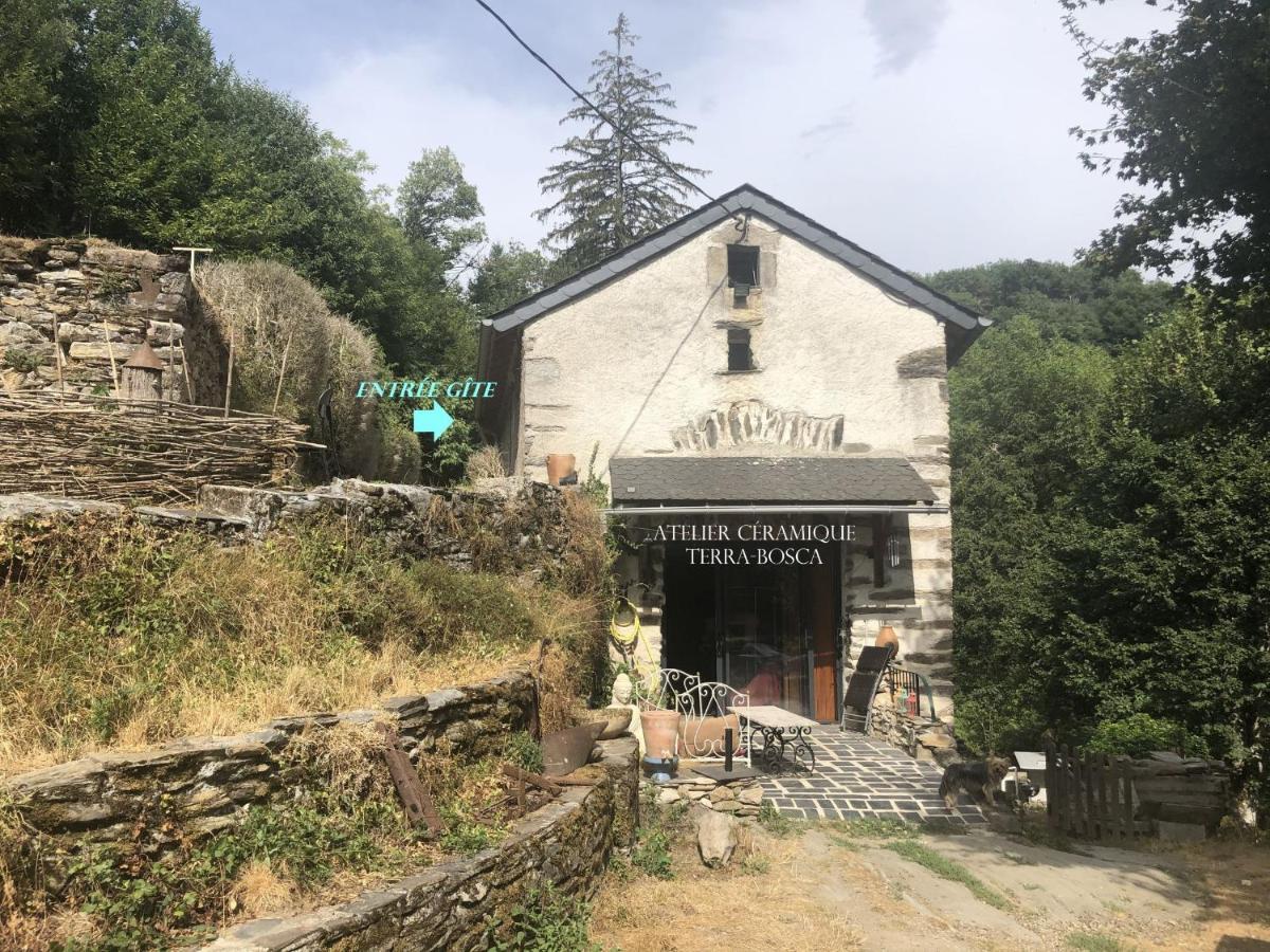 Gîte Terra Bosca Cambounes Exterior foto